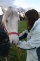 Becky & Bowie 06-04-08 - 13